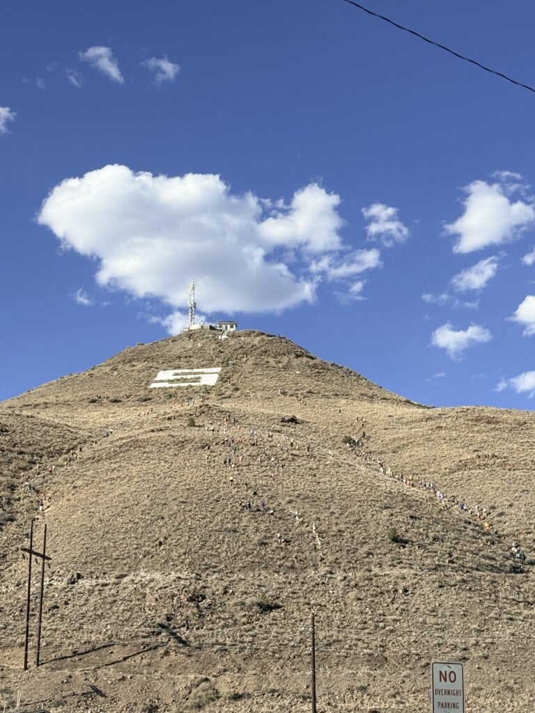 IMG 7711